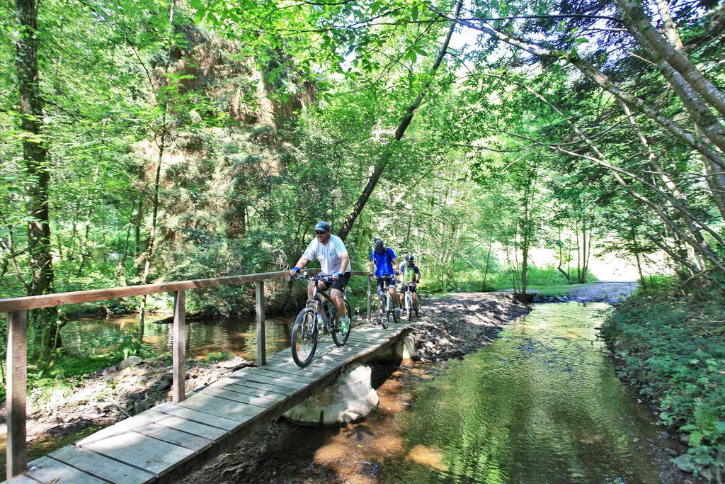 Hotellerie De Plein Air Camping Leychoisier Bonnac-la-Cote Екстер'єр фото